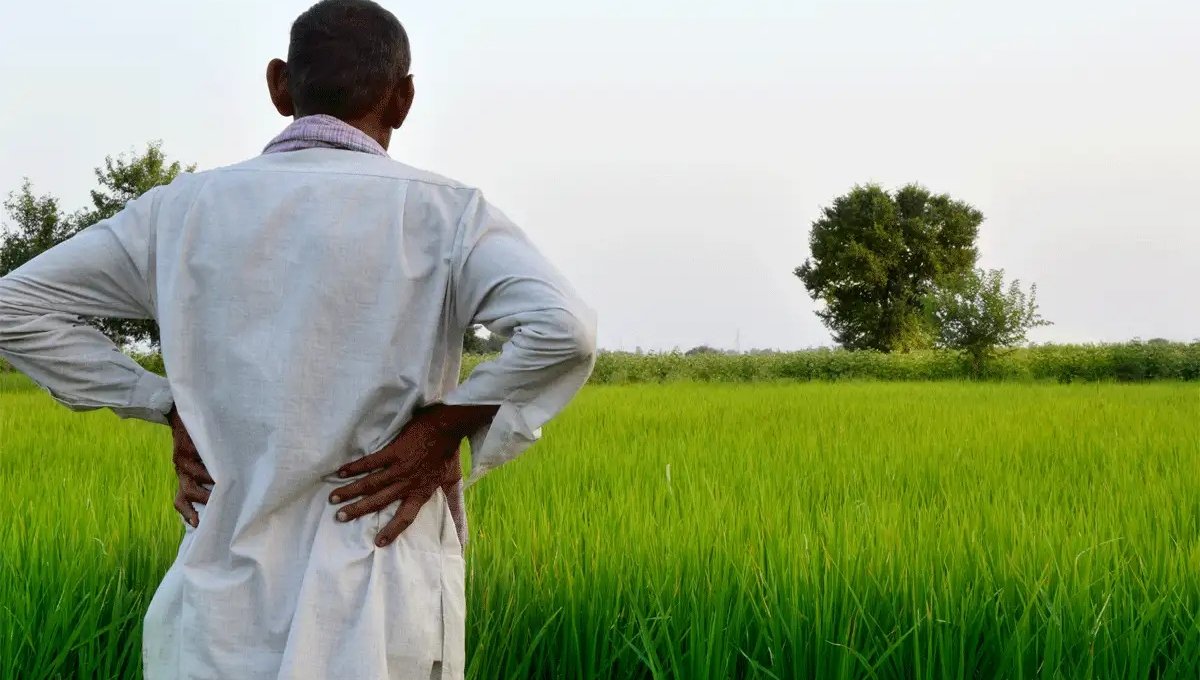 PM-KISAN 20th Installment: When Will It Be Released, Date, Beneficiary Details And Latest Update