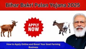 Bihar Bakri Palan Yojana 2025: How to Apply Online and Boost Your Goat Farming Business